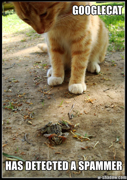 Googlecat has detected a spammer! A picture of a cat staring down at a frog, captioned in the unmistakable LOLCats manner. It is symbolic of the eternal struggle between search engines and blackhat webmasters. How is that for a description?