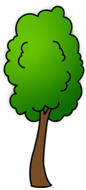 A drawing of a tree