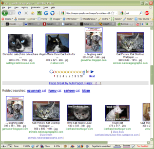 AutoPager screenshot (click for a bigger version)